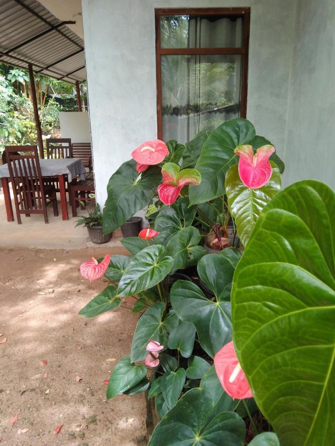 Quiet Rest Inn Ella Zewnętrze zdjęcie