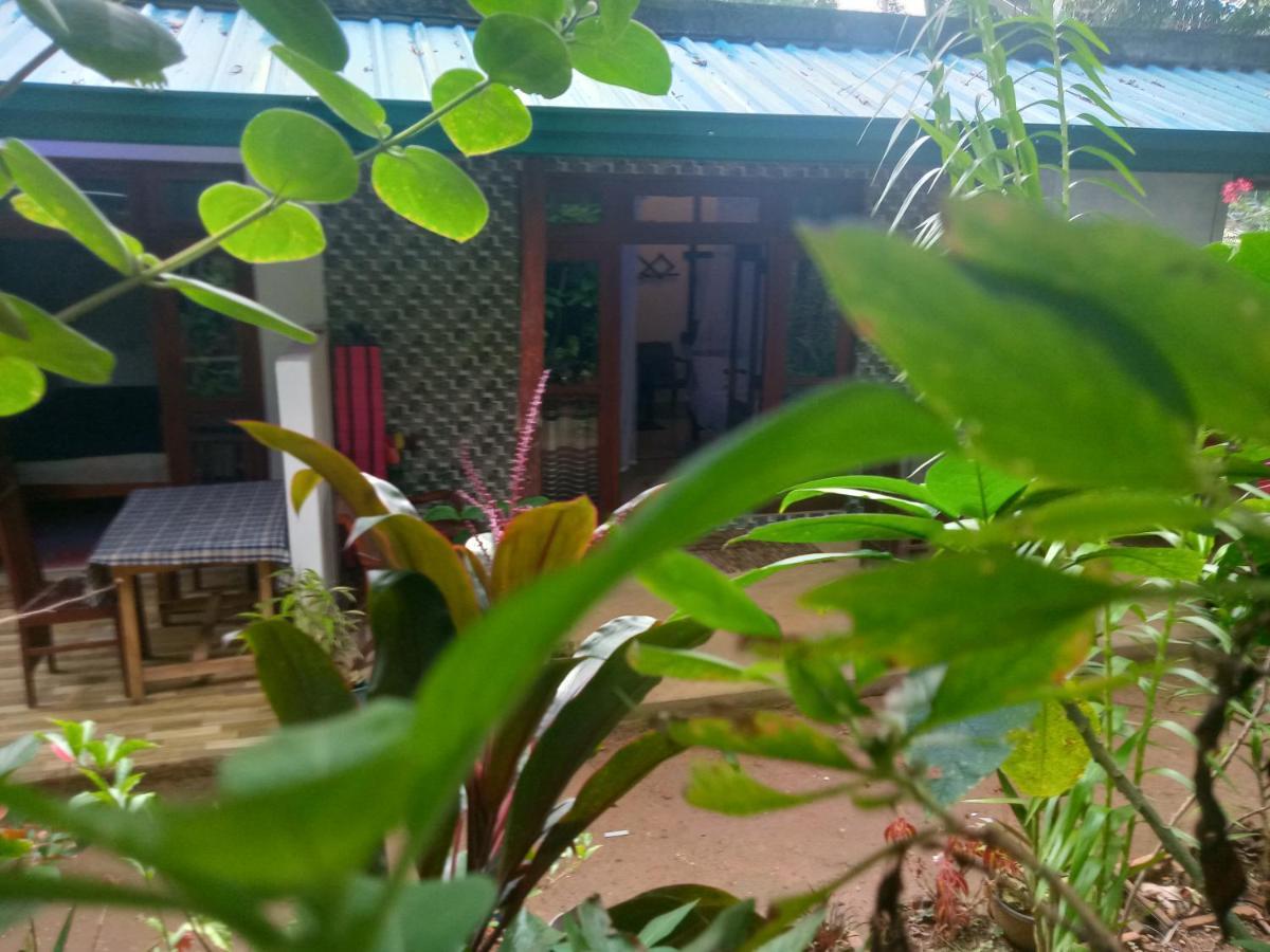 Quiet Rest Inn Ella Zewnętrze zdjęcie